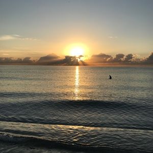 Meet your Posher, Deirdre